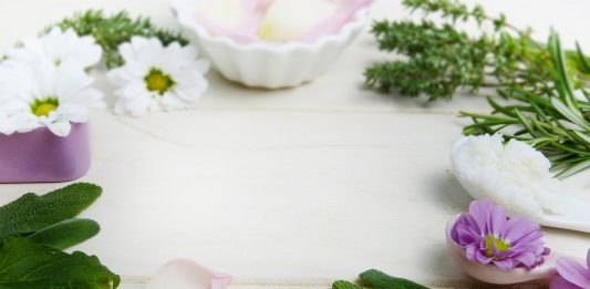 צמחי מרפא והטיפול בסימפטומים של סטרס