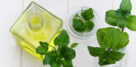 חוקיות רפואה משלימה – ההכרה ההולכת וגוברת בחוקיות הטיפולים המשלימים