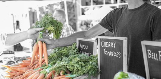 על אבות המזון