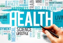 לגלות את סוד הבריאות עם פרה ביוטיקה פרה ביוטיקה