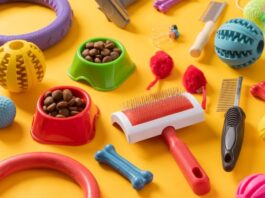 טיפול איכותי לכלבים – כל מה שצריך לדעת