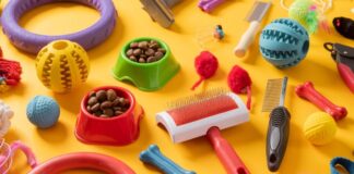 טיפול איכותי לכלבים – כל מה שצריך לדעת